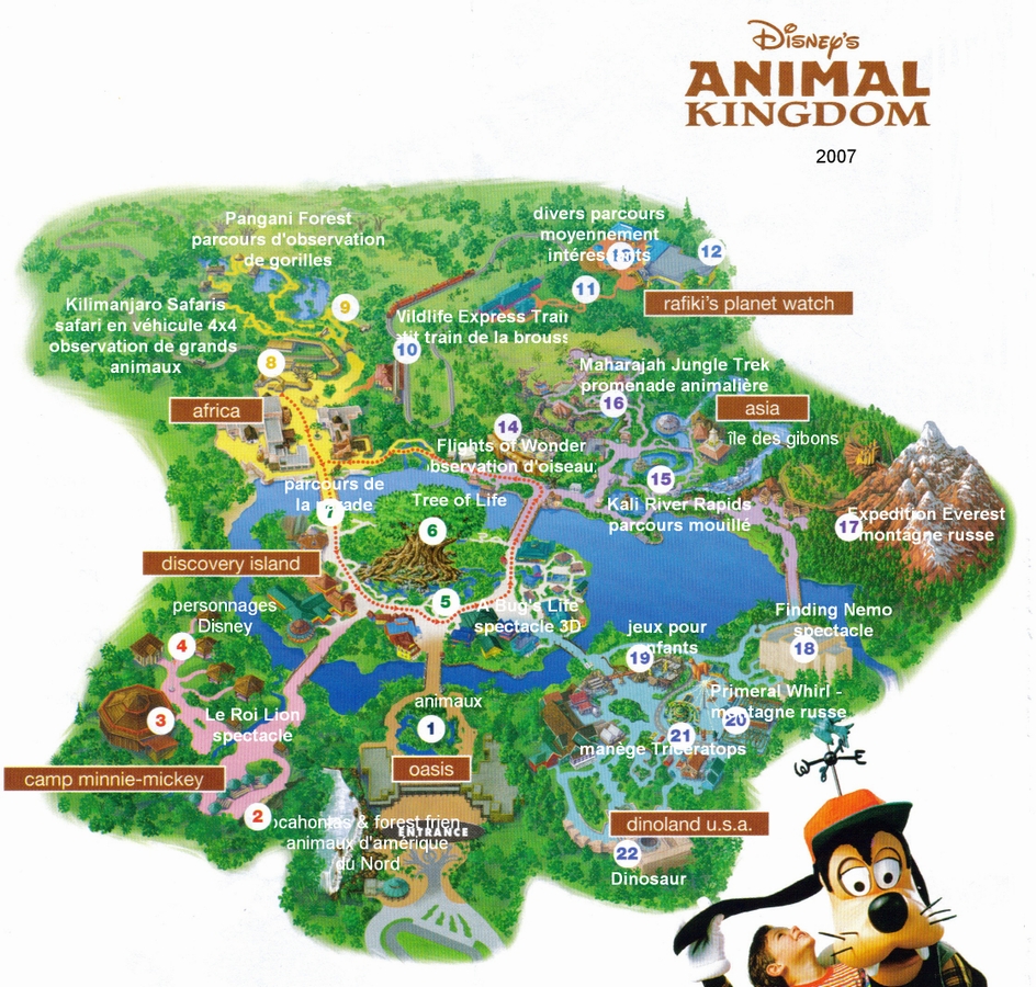 Carnet de Voyage / Floride / Florida / Disneyworld / Animal Kingdom